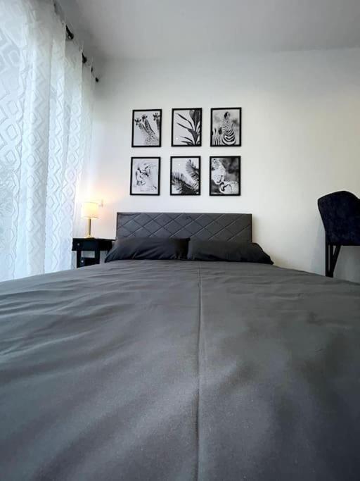 Bahnhofsapartment Loerrach Dış mekan fotoğraf